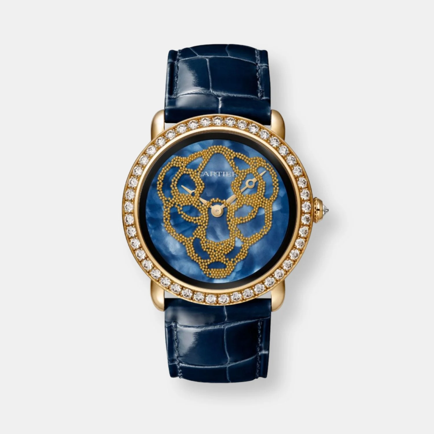 Montre révélation d'une panthère