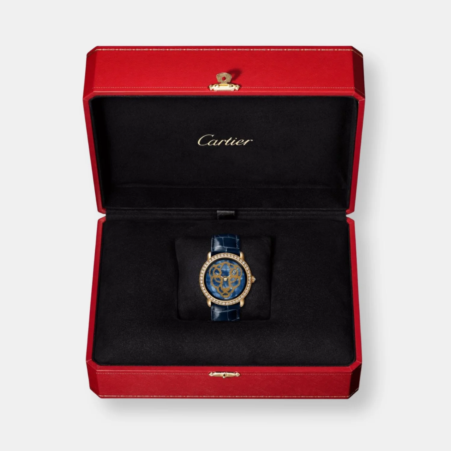Montre révélation d'une panthère - Image 4